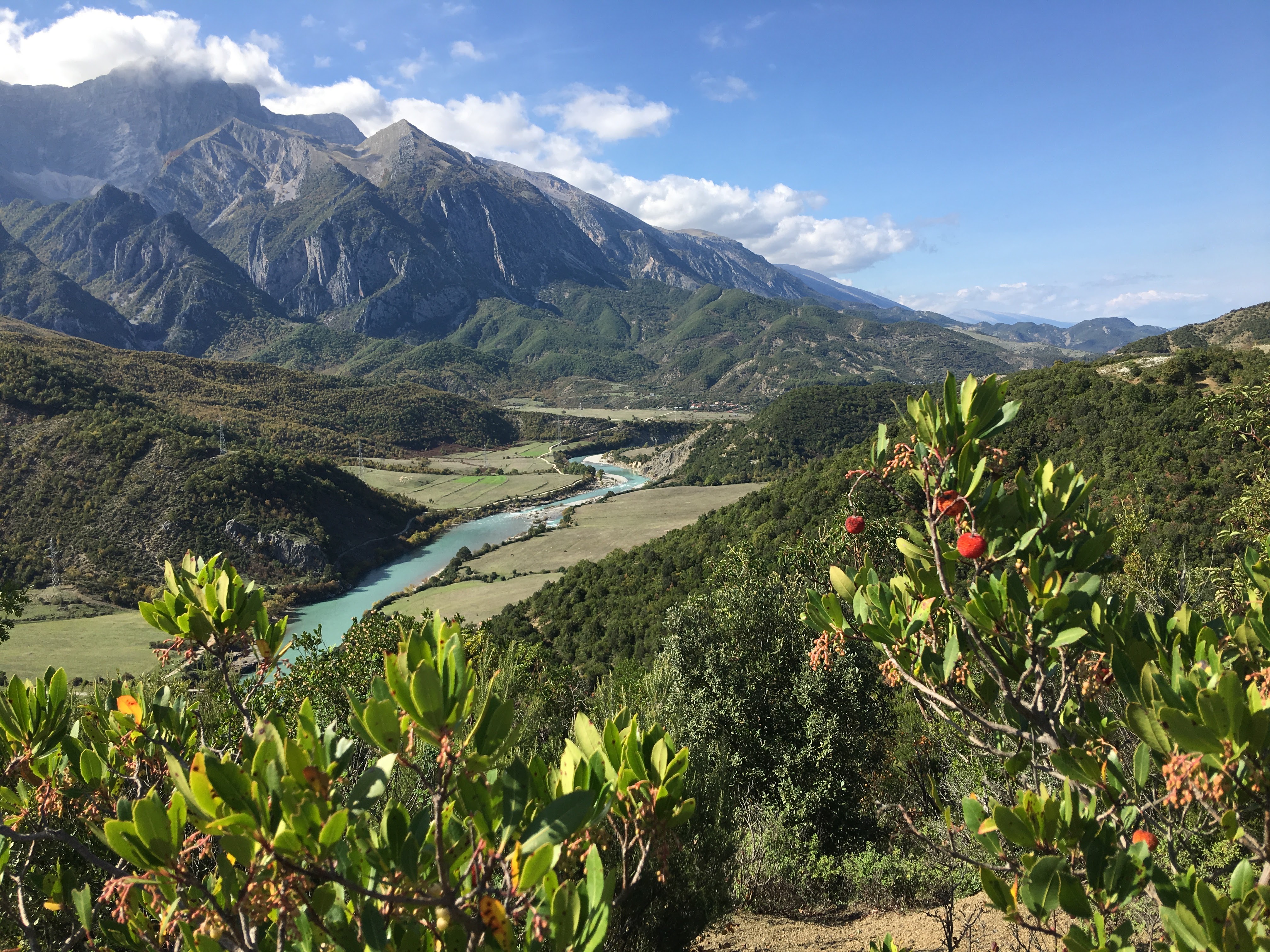 River Vjosa